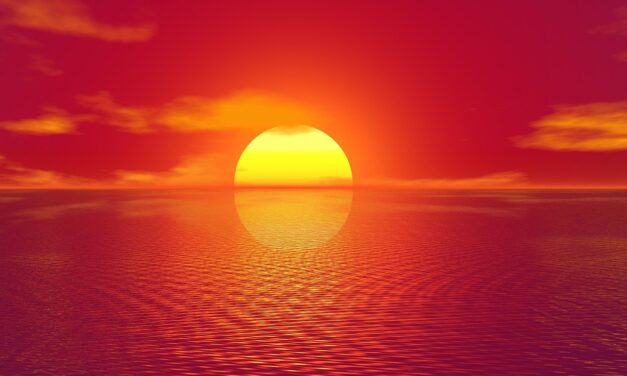 Sage Just Sunsetted BusinessVision: What You Need to Know (And Do) Before December 2026